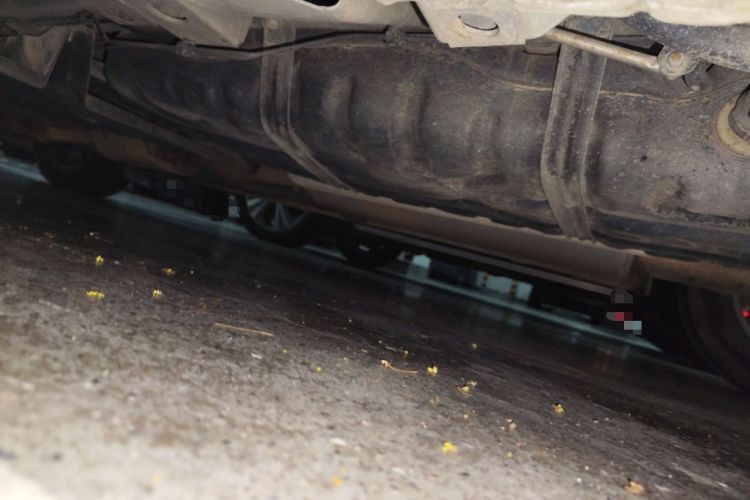 Used Buick GL8 2017 ES 28T Luxury Model China V Standard
