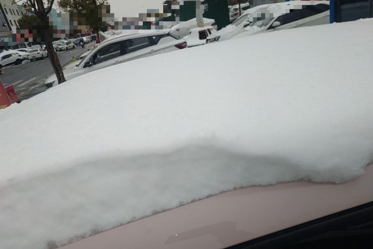 Used BYD Seagull 2024 Honor Edition 305km Freedom Version
