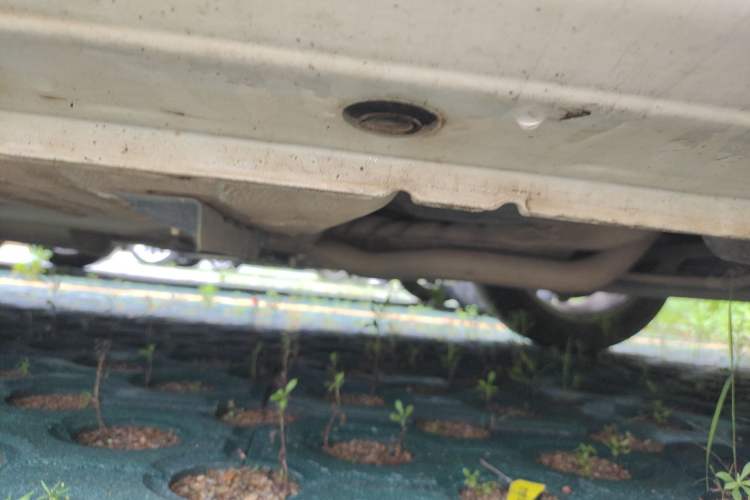 Used Nissan Sylphy 2021 Classic 1.6XL CVT Luxury Edition
