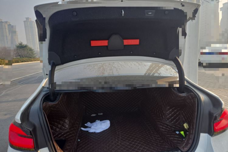 Used BMW 5 Series 2021 530Li Leading Model M Sport Package
