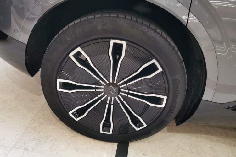 Used  07 2024 Max Extended-Range Edition
