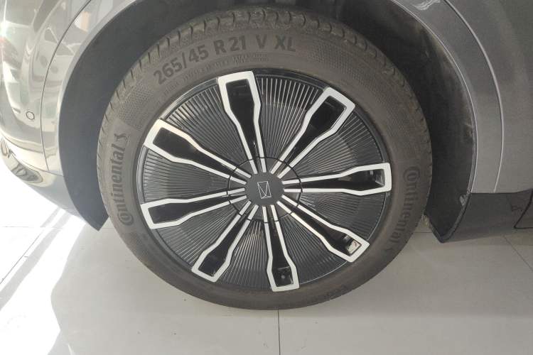 Used  07 2024 Max Extended-Range Edition
