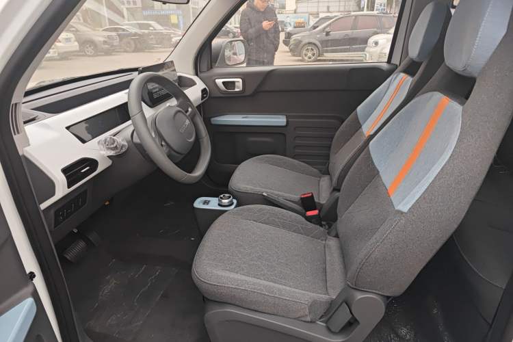 Used  Panda 2024 Panda Mini 200km Endurance Bear
