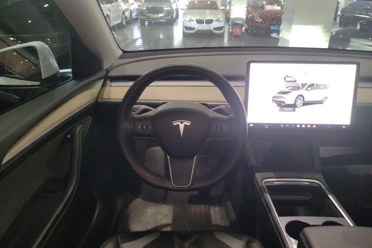 Used Tesla Model Y 2022 Rear-Wheel-Drive Version
