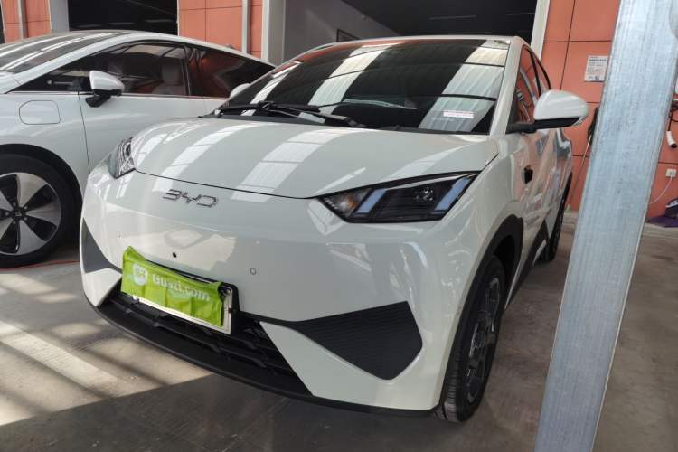 Used BYD Seagull 2025 Smart Drive Version 305 km Freedom Edition