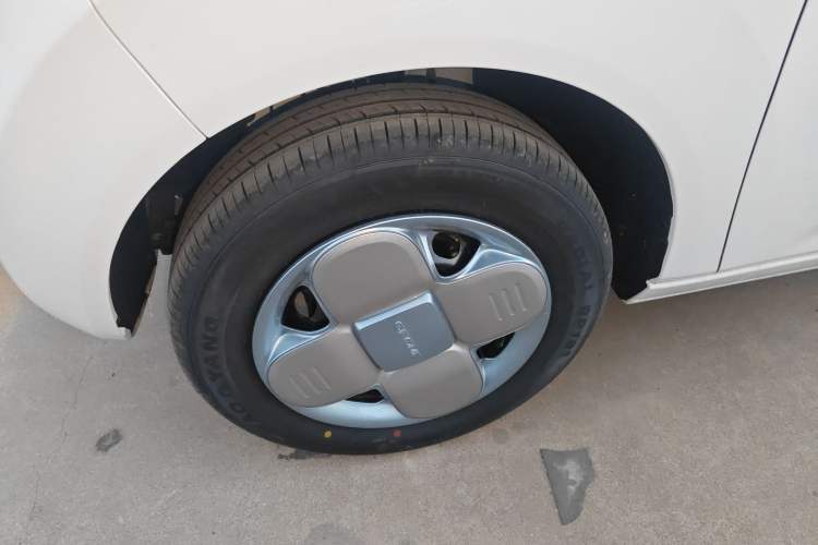 Used  Panda 2024 Panda Mini 200km Endurance Bear
