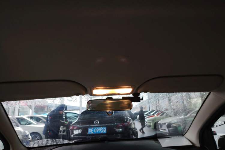 Used SOL E10X 2022 Flower Fairy Design Four-Leaf Clover