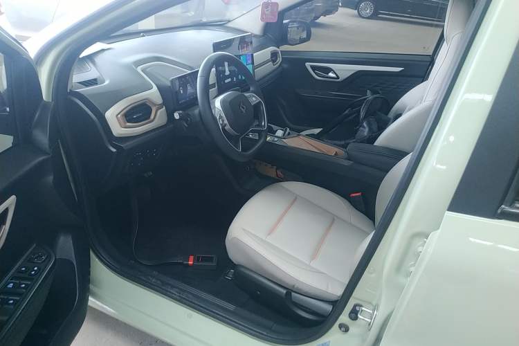 Used SOL E10X 2022 Flower Fairy Style Baby's Breath
