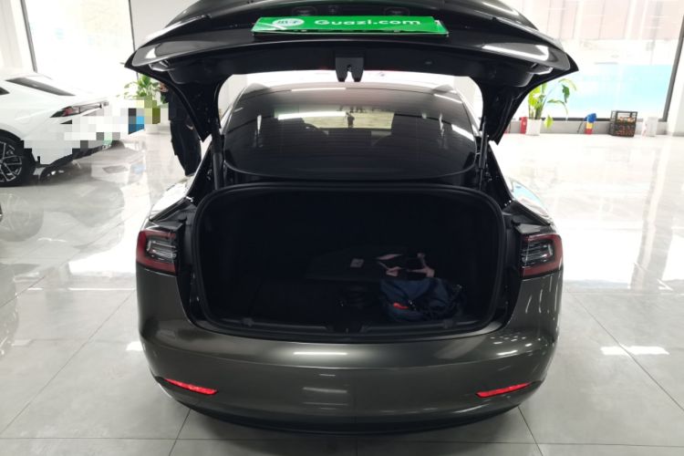 Used Tesla Model 3 2021 Standard Range Rear-Wheel Drive Upgraded Version 3D6
