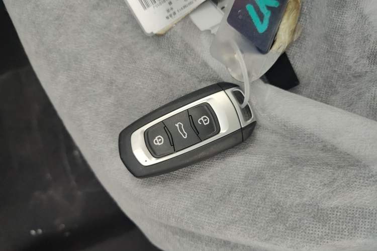 Used  Panda 2024 Panda Mini 200km Endurance Bear
