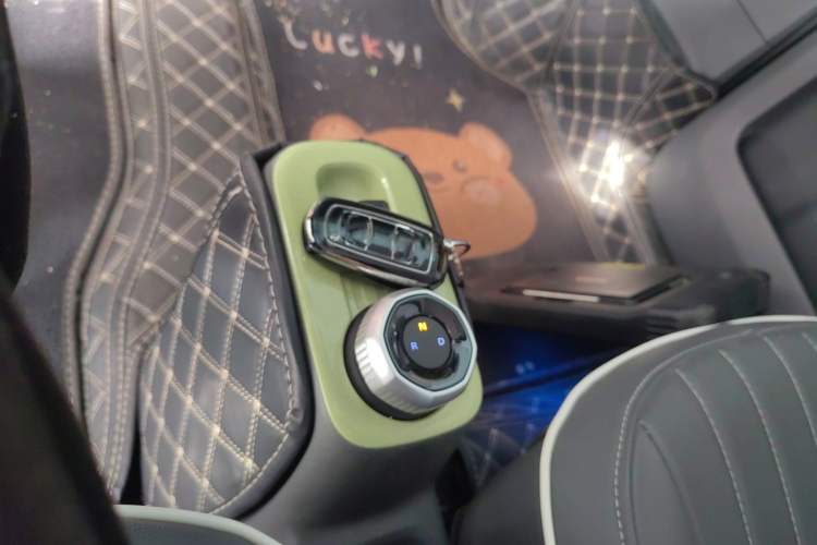 Used  Panda 2024 Panda Mini 200km Endurance Bear
