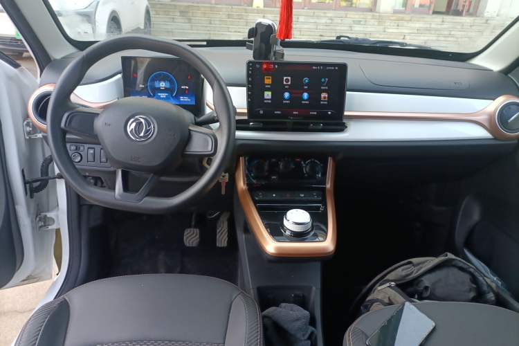 Used Dongfeng NAMMI EX1 2023 PRO Light Wind Edition Lightning Model
