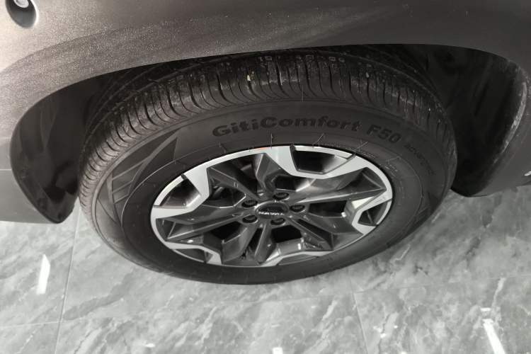 Used Haval DARGO 2024 2.0T DCT Chinese Rural Dog Edition
