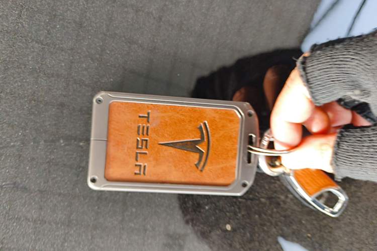 Used Tesla Model 3 2021 Revised Version Standard Range Rear-Wheel Drive Upgraded Edition 3D1
