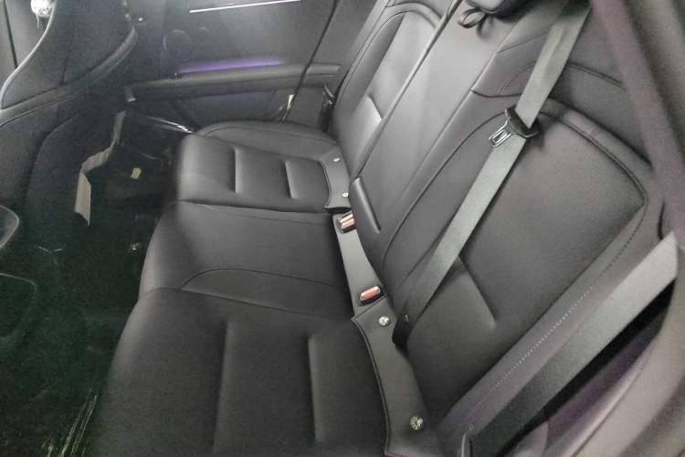 Used  06 2025 Max All-Electric Version
