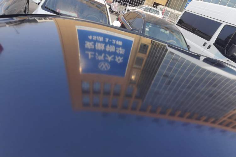 Used SOL E10X 2022 Flower Fairy Design Four-Leaf Clover
