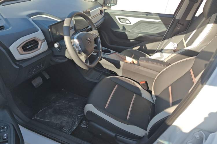 Used SOL E10X 2022 Flower Fairy Design Four-Leaf Clover