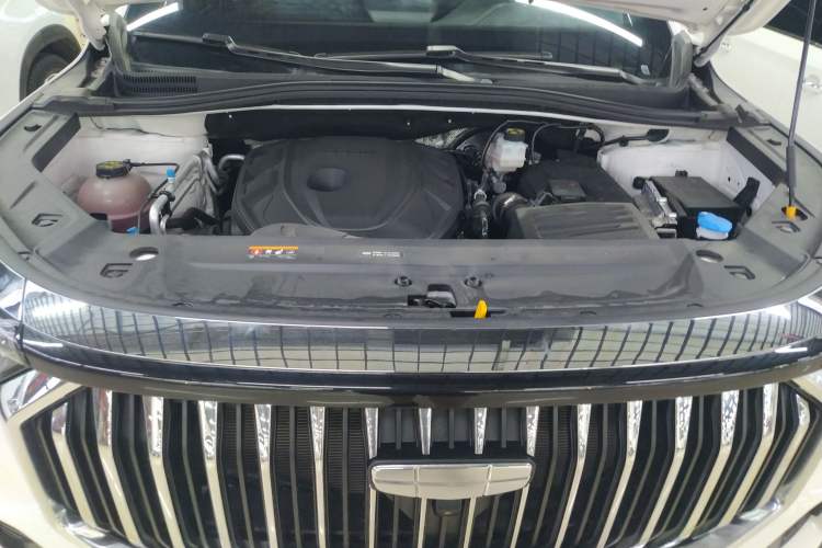 Used Geely Auto Haoyue L 2023 2.0T DCT Prestige Edition
