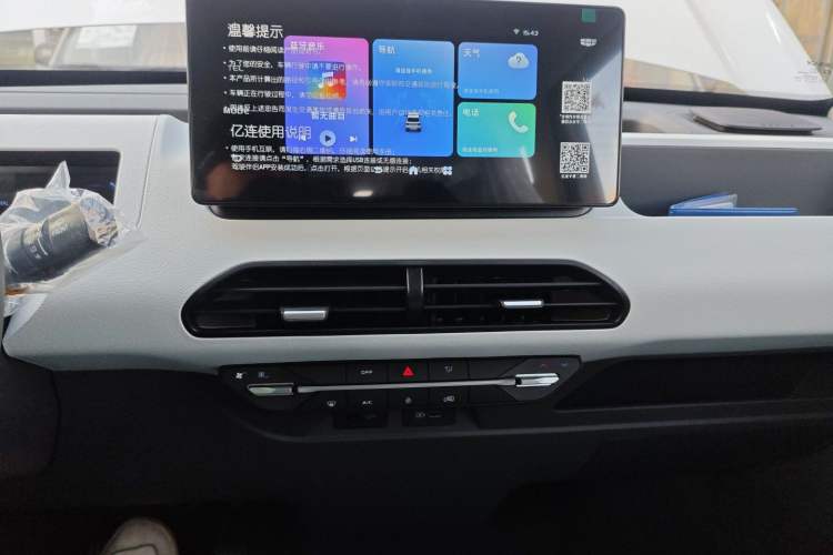 Used  Panda 2024 Panda Mini 200km Endurance Bear