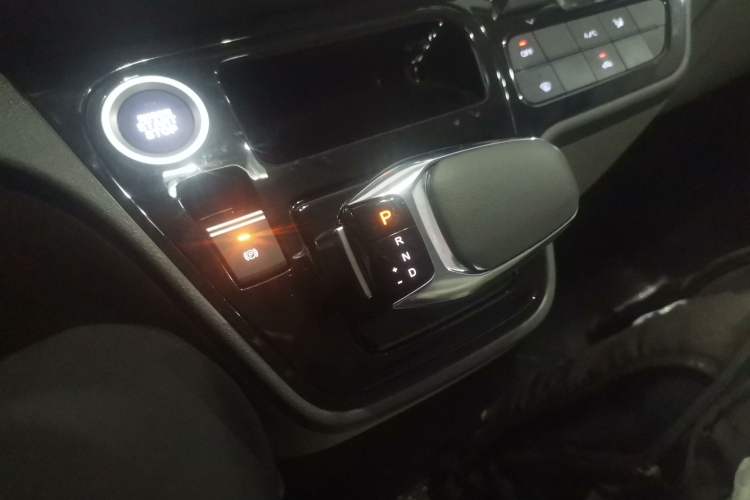 Used  Pioneer V 2024 Multi-Function Version 2.0T Automatic Short Wheelbase Mid-Roof