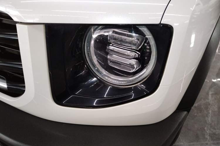 Used Haval DARGO 2021 2.0T DCT 4x4 Chinese Rural Dog Edition
