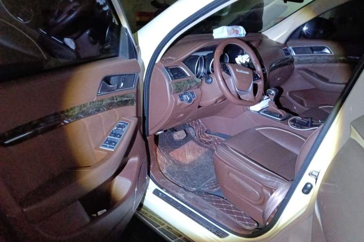 Used Leopaard CS10 2017 2.0T Automatic Urban Version