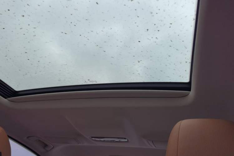 Used BMW 5 Series 2018 528Li Launch Special Edition