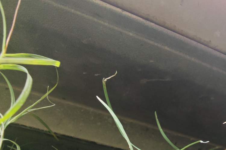 Used Volkswagen Golf 2016 1.6L Automatic Comfort Model
