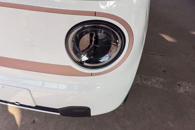 Used  Panda 2024 Panda Mini 200km Endurance Bear
