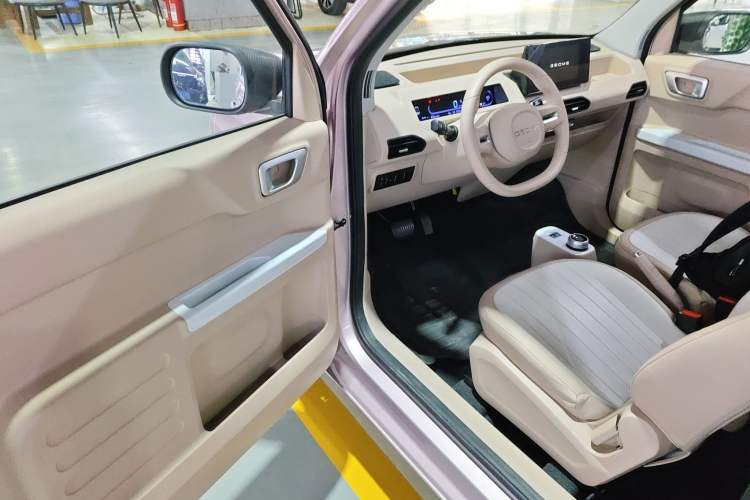 Used  Panda 2024 Panda Mini 200km Longteng PRO Edition
