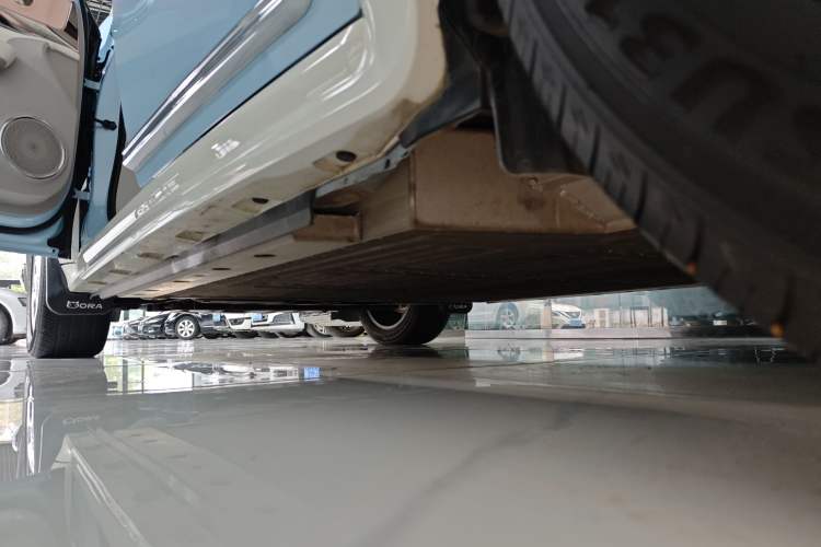 Used ORA Ballet Cat 2022 401 km Nutcracker Edition
