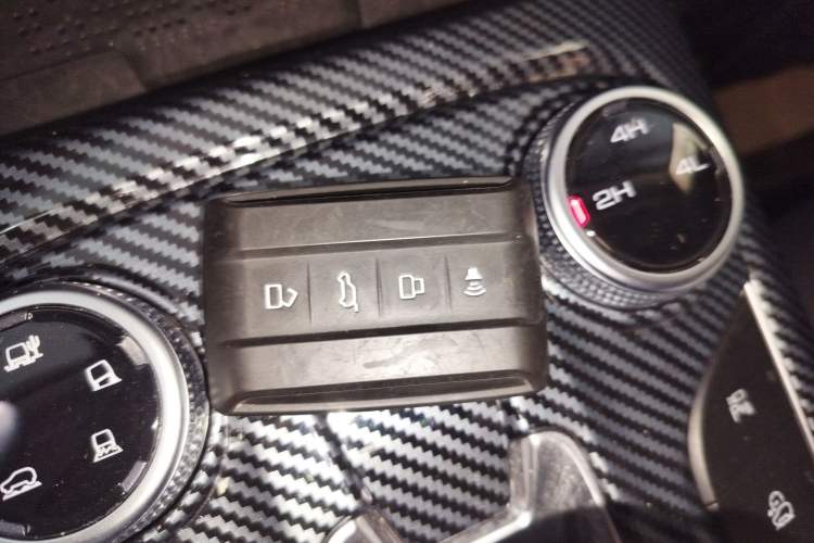 Used Tank 300 New Energy 2024 Hi4-T
