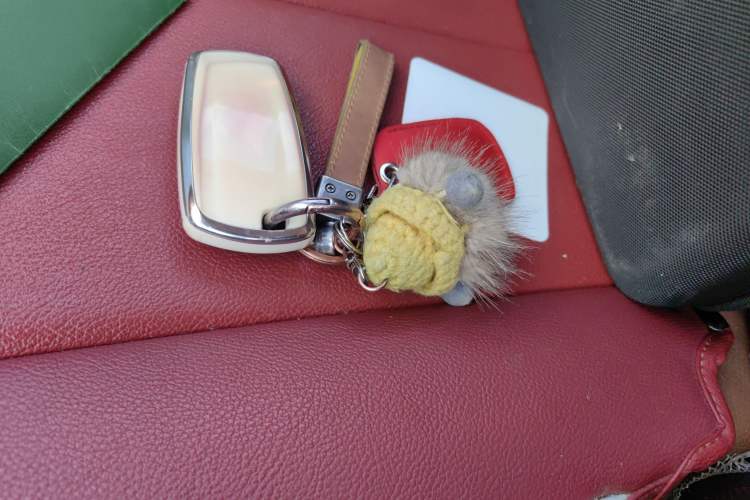 TDK.VehicleDetails.img