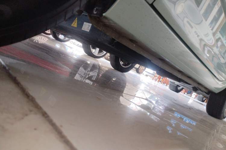 Used  Panda 2023 Panda Mini 200km Endurance Bear
