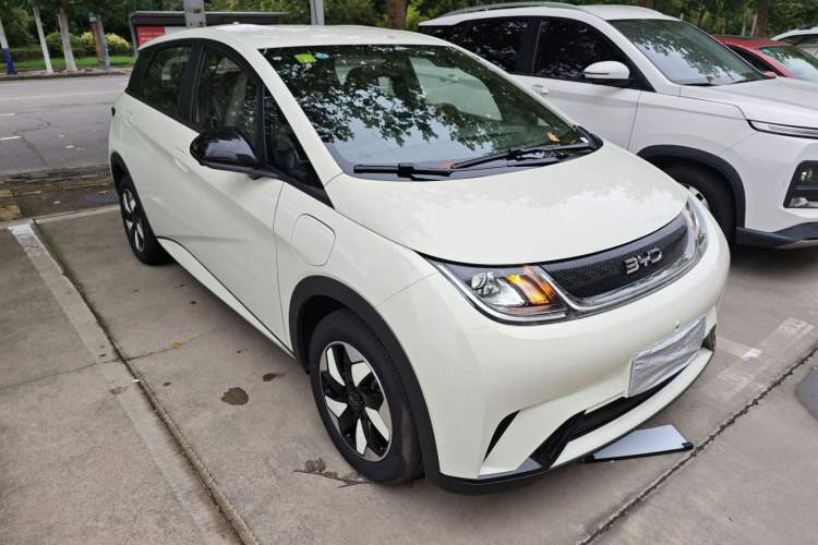 Used BYD Dolphin 2025 420km Free Edition