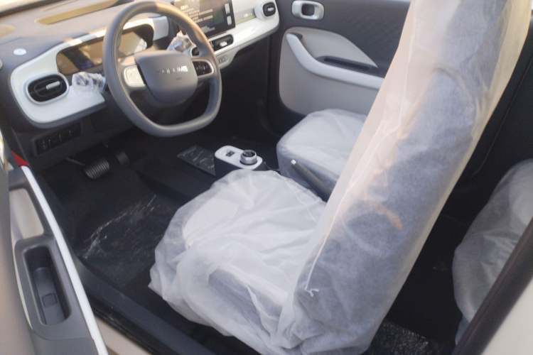 Used  Panda 2025 210 km – Yuanqi Bear
