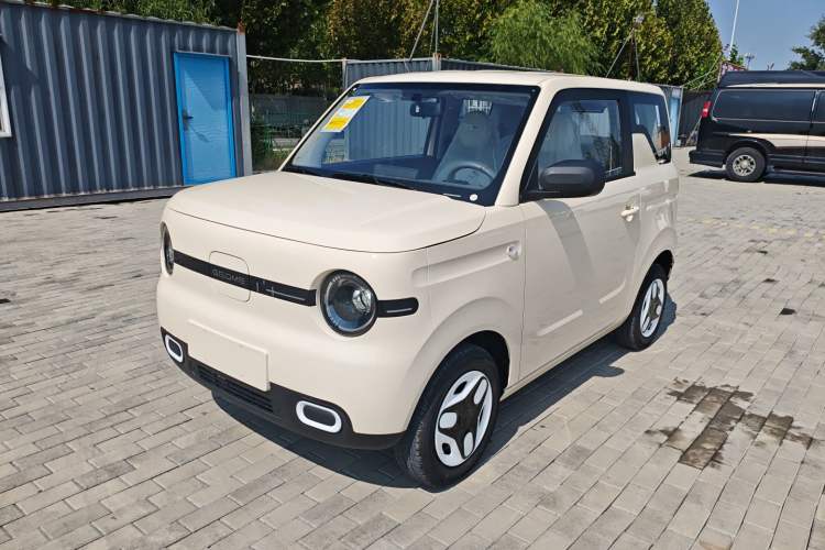 Used  Panda 2025 210 km – Yuanqi Bear

