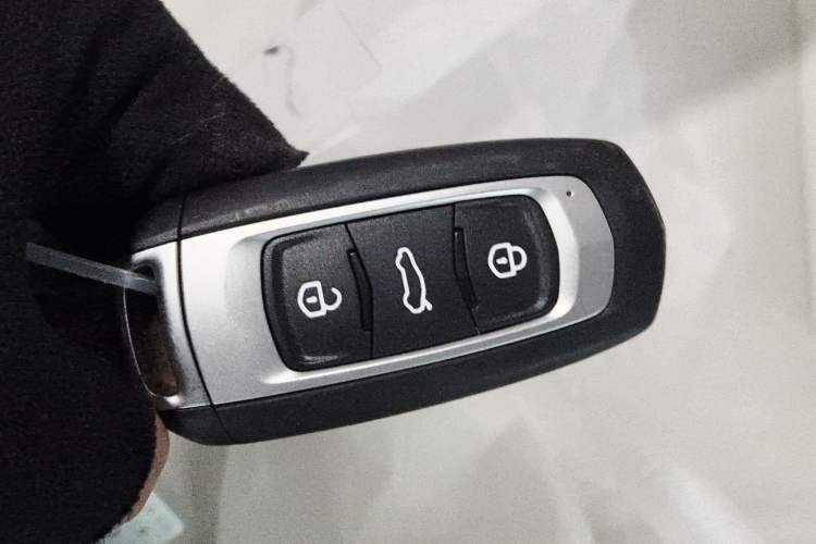 Used  Panda 2025 210 km – Yuanqi Bear
