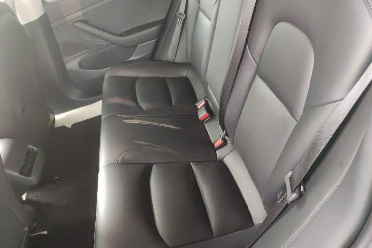 Used Tesla Model 3 2020 Standard Range Rear-Wheel Drive Upgraded Version
