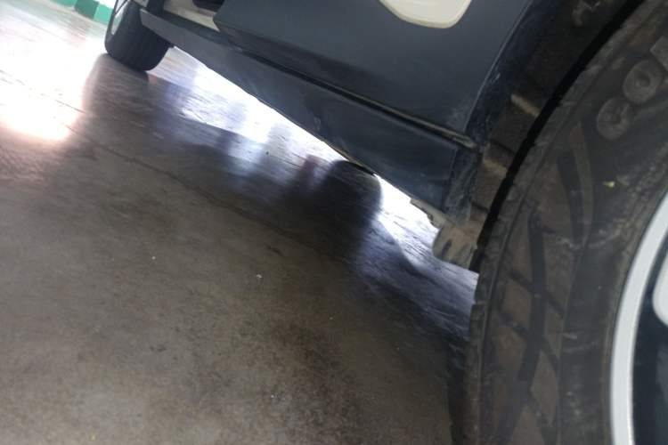 Used  Geome 2025 310km Youth Edition
