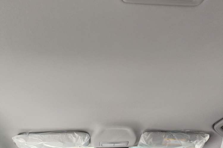 Used  Geome 2026 Model 310km Dream Edition