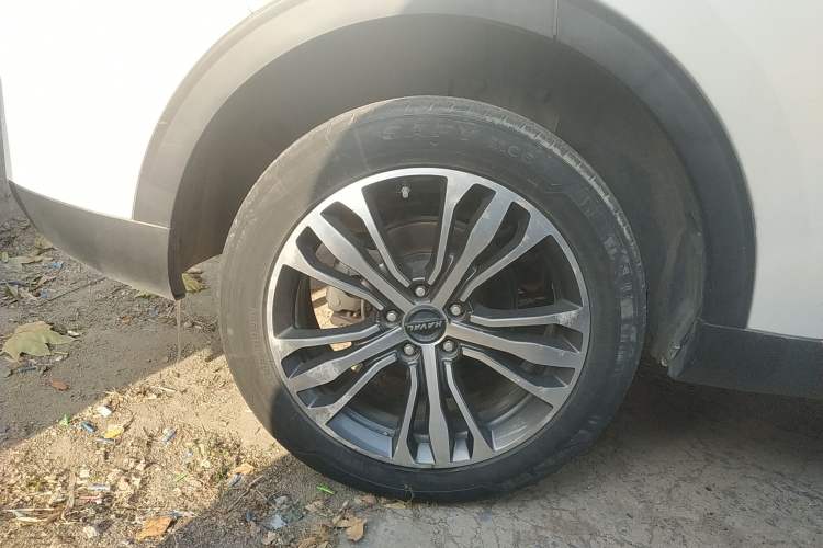 Used Haval F7 2019 2.0T Four-Wheel Drive iJoy China V Standard
