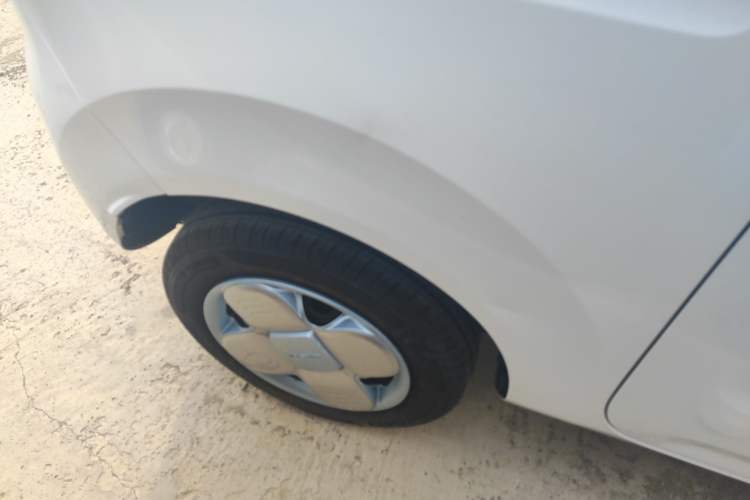 Used  Panda 2024 Panda Mini 200km Endurance Bear
