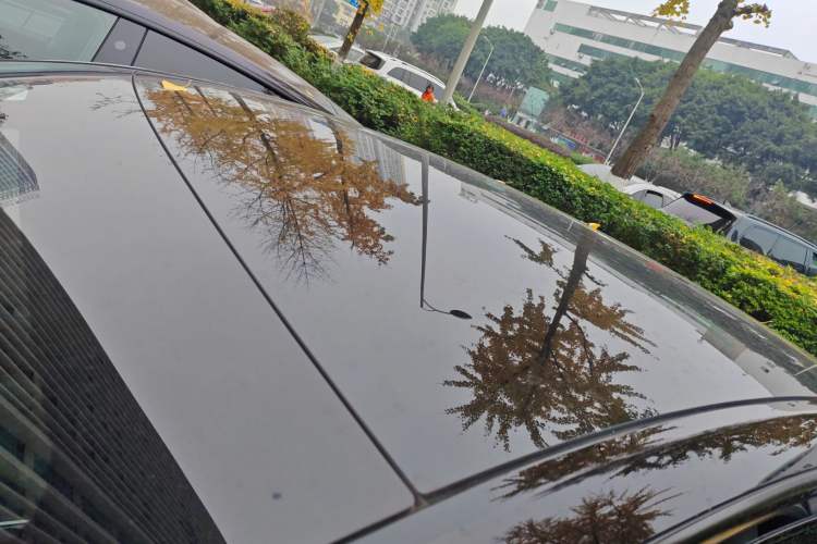 Used Tesla Model Y 2022 Rear-Wheel-Drive Version
