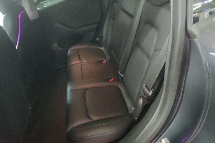 Used Tesla Model Y 2021 Standard Range Rear-Wheel Drive Version
