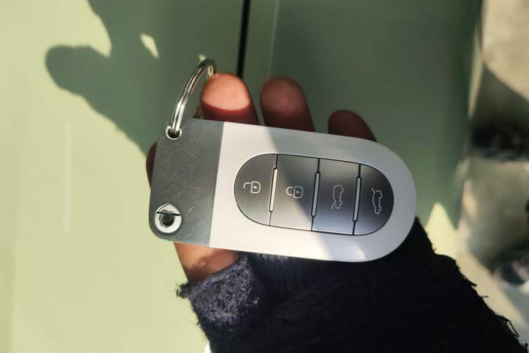 Used  #5 2024 Ultra-Long Range Extraordinary Journey Luxury Edition