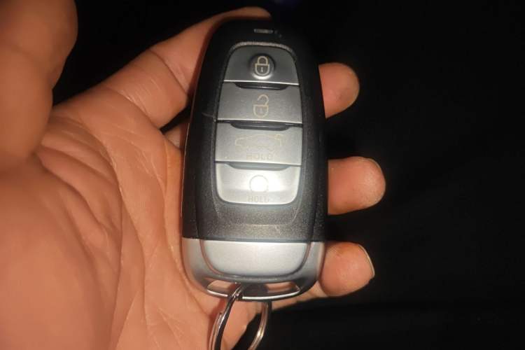 Used Hongqi H9 2020 3.0T Smart Connect Flagship Four-Seat Version