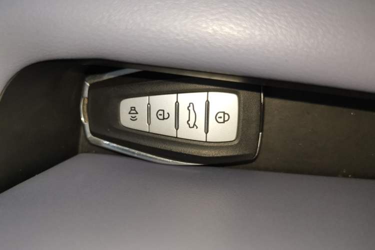 Used Geometry E Firefly 2022 401KM Lightning Tiger 4-Seater