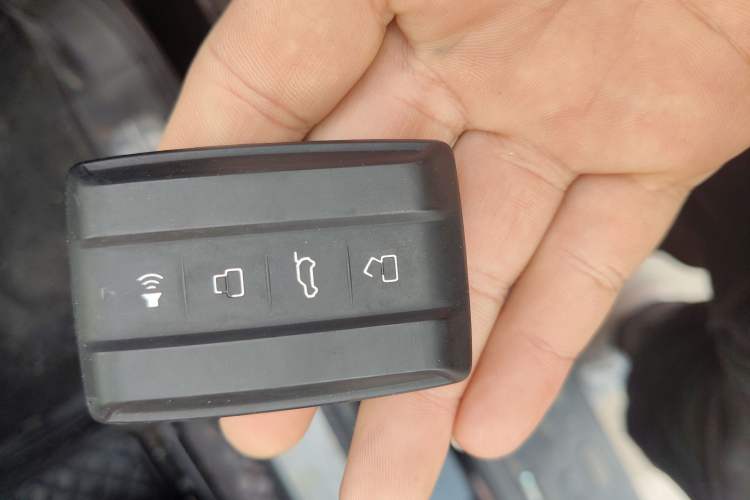 Used Tank 300 2024 2.0T Conqueror
