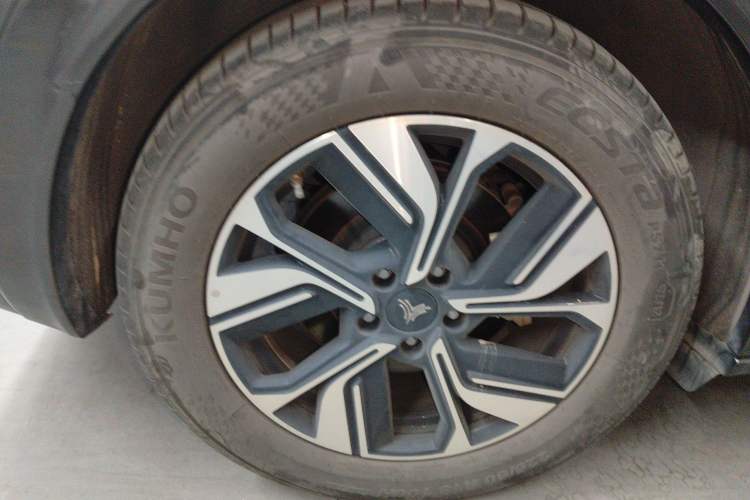 Used NETA U 2022 NETA U-Ⅱ 500 Lithium Iron Phosphate